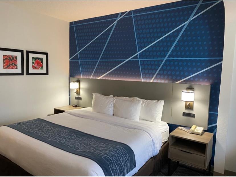 Comfort Inn Greenville I-65 מראה חיצוני תמונה